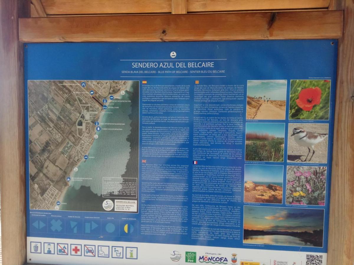 Apto. Con Wifi, Piscina, Vistas Al Mar Y Parking. 蒙科法尔 外观 照片